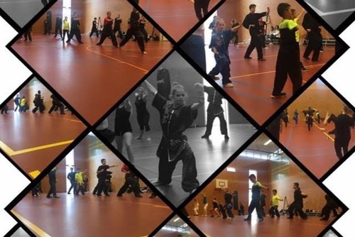 Wushu Collage