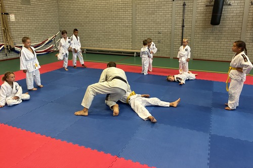 Judo in De Bonsen Hoek!