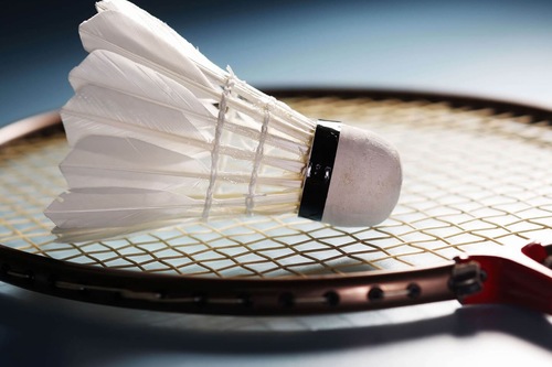 Badminton